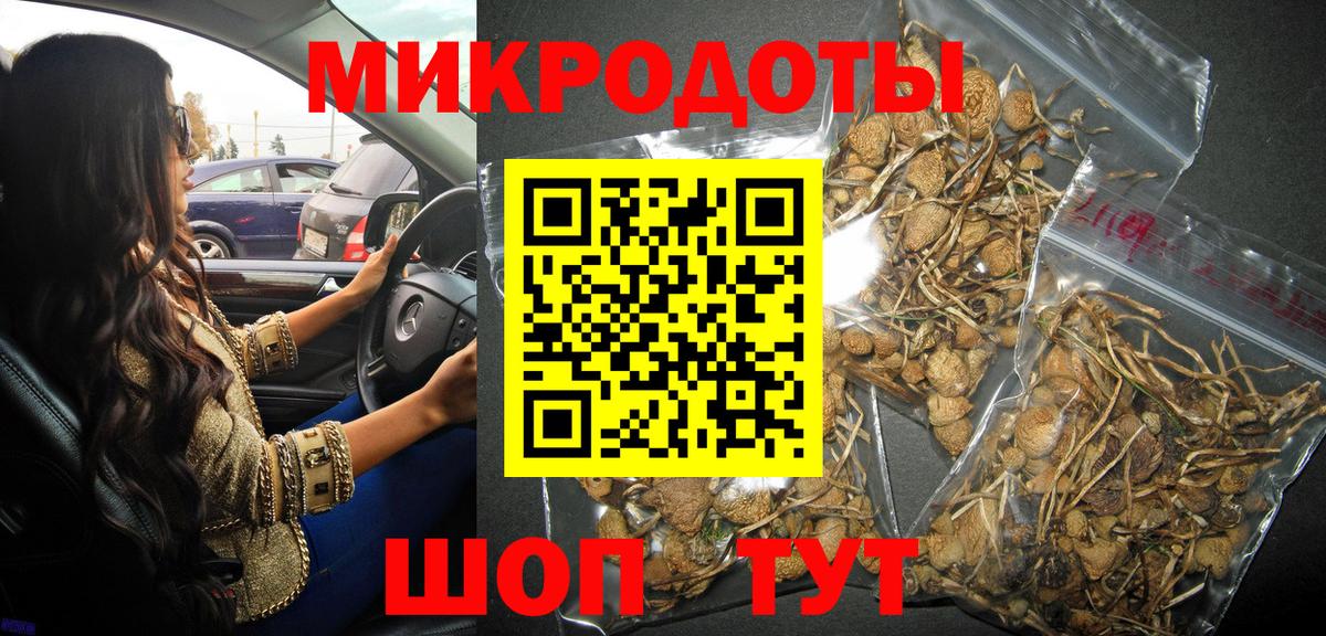Псилоцибиновые грибы Magic Shrooms Кинель