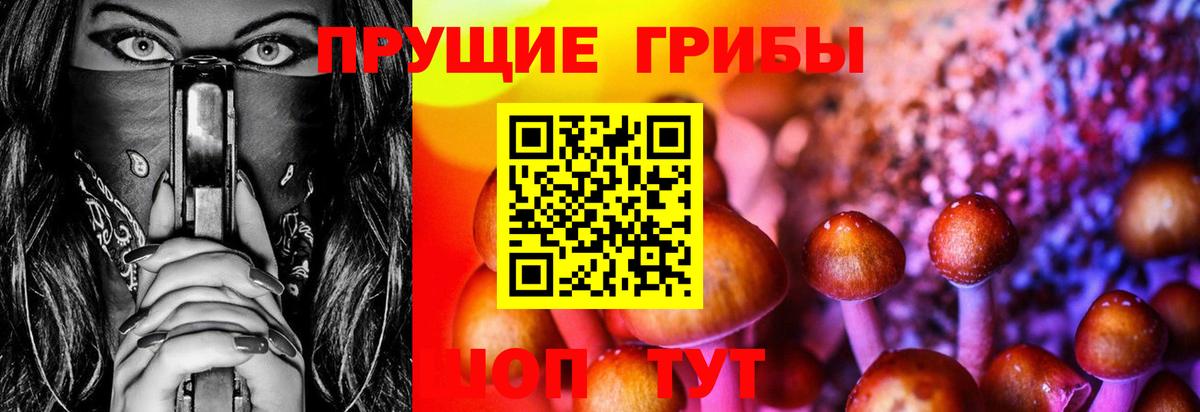 купить наркоту  Галлюциногенные грибы Magic Shrooms  Вход с VPN  Кинель  Галлюциногенные грибы ЛСД 
